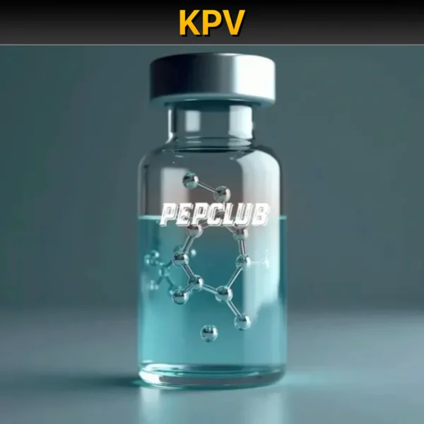 2026.06.06 - KPV KPV